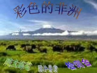 五年级下册《彩色非洲》