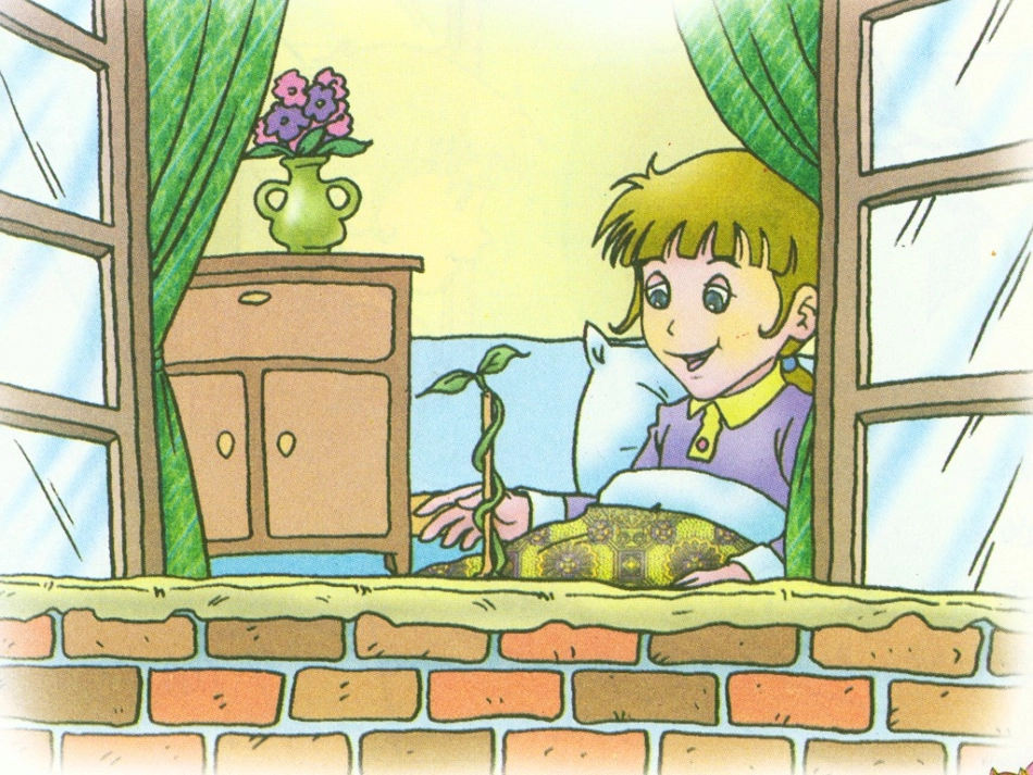 一颗小豌豆四上_第3页