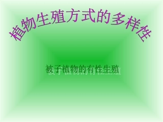 花和果实课件