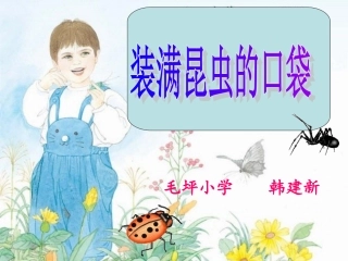 装满昆虫的口袋课件2