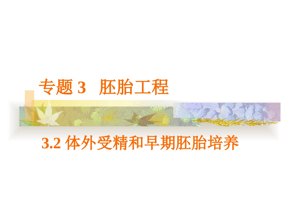 体外受精和早期胚胎培养黄_第2页