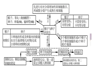 体外受精和早期胚胎培养黄