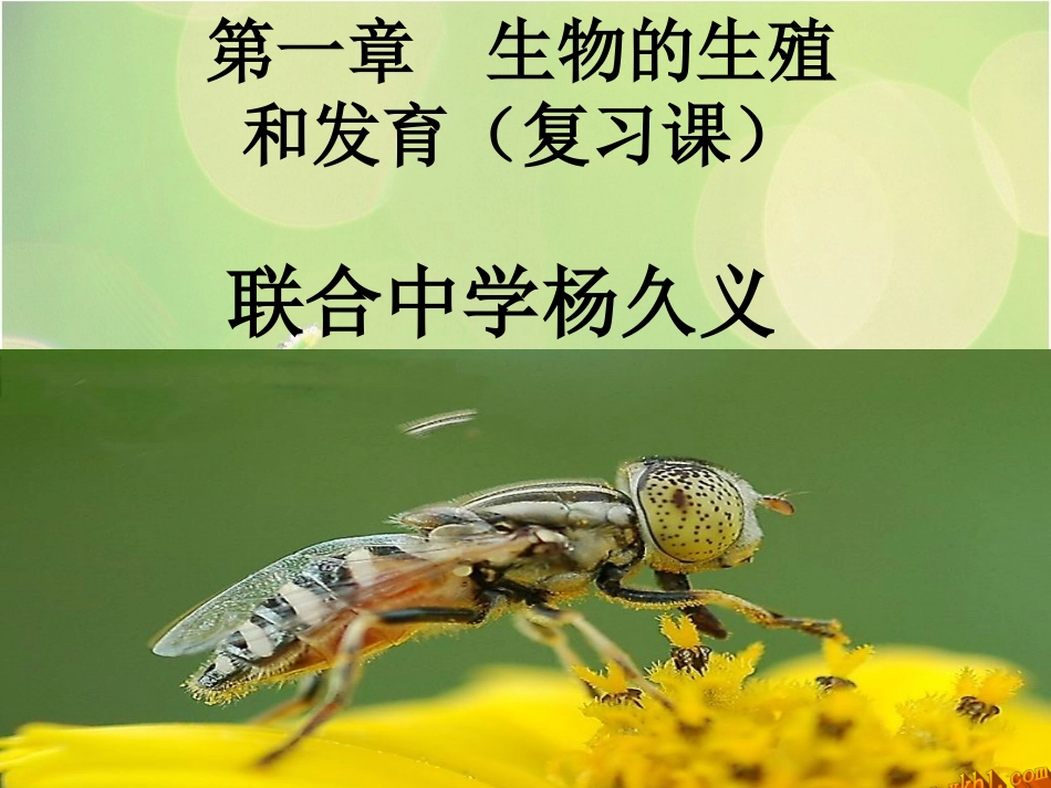 生物的生殖与发育_第1页