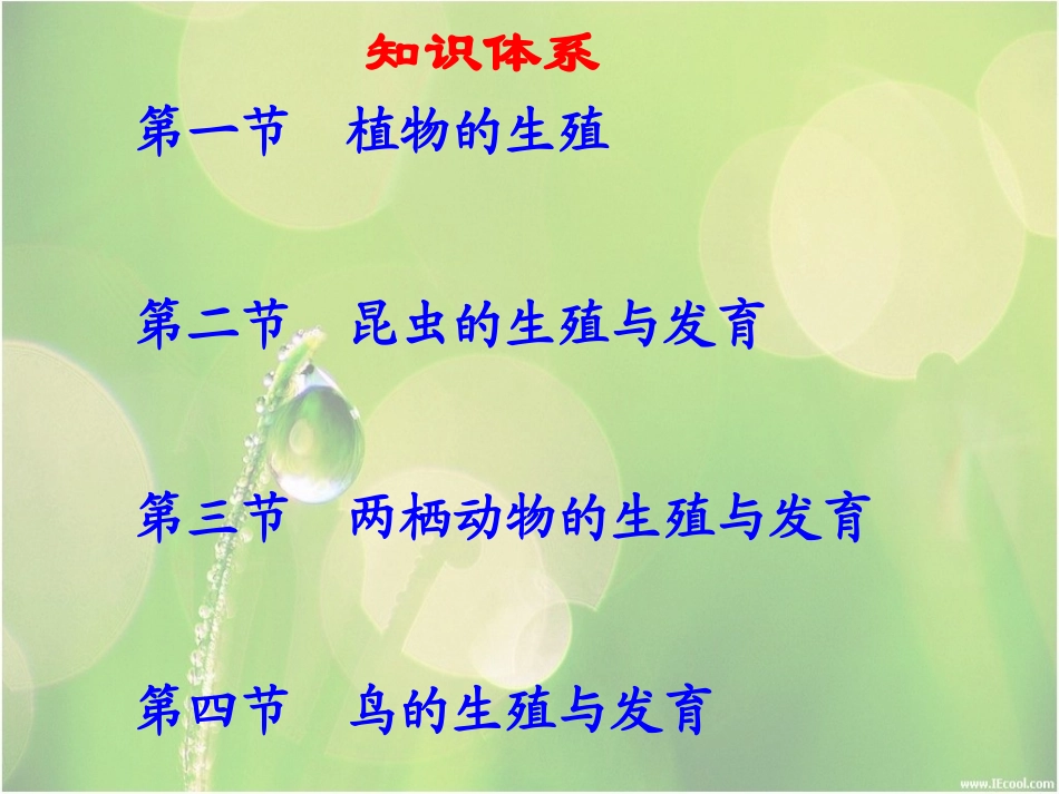 生物的生殖与发育_第2页