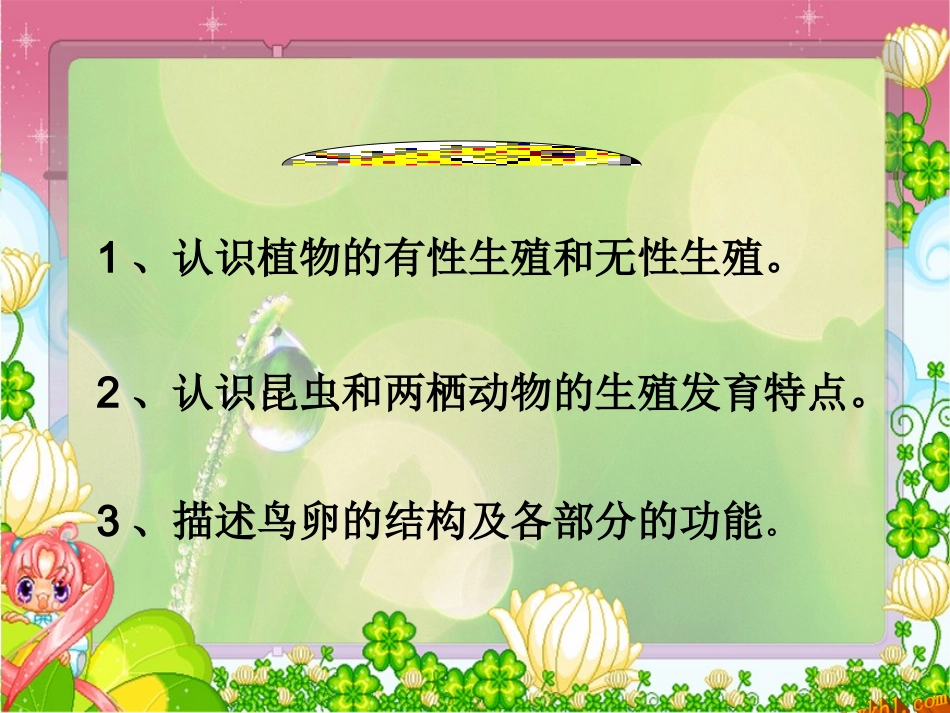 生物的生殖与发育_第3页