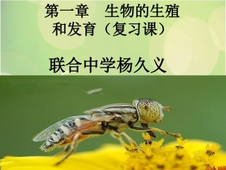 生物的生殖与发育