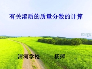 溶质的质量分数计算的复习课