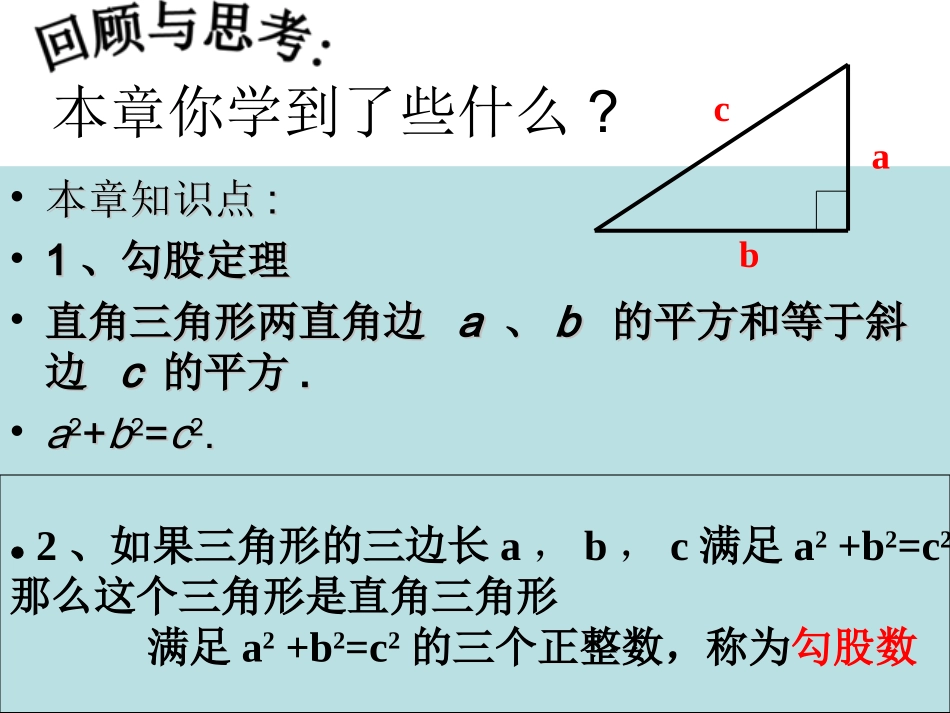 《勾股定理复习》_沪科版八年级下__第2页