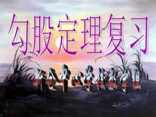 《勾股定理复习》_沪科版八年级下_