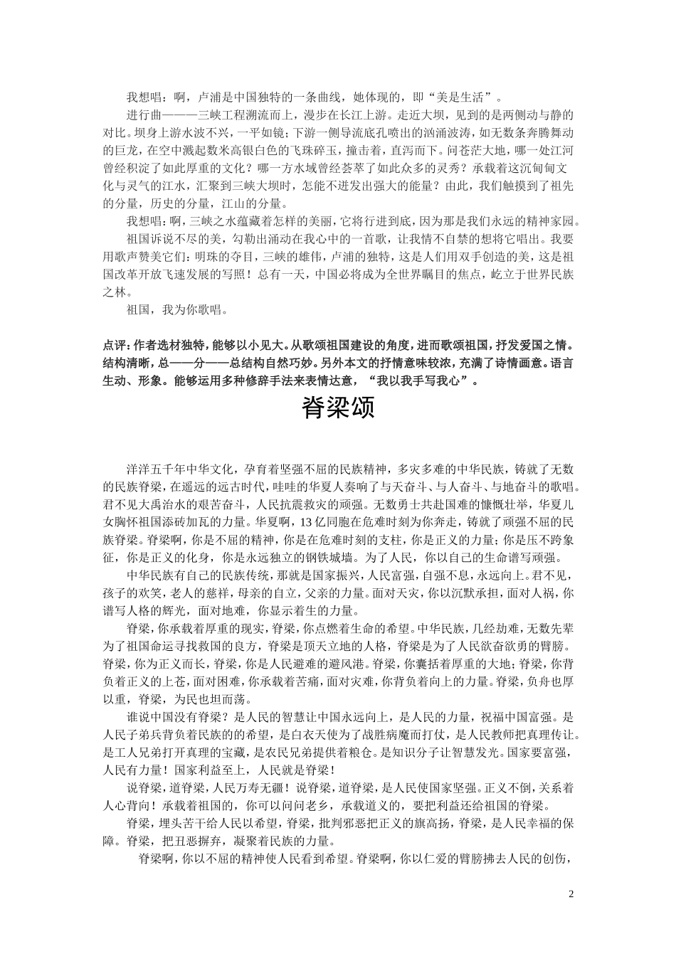 爱国话题作文_第2页