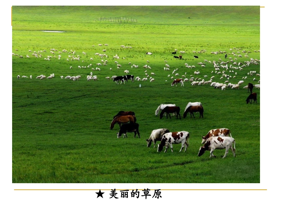 2015春四年级语文下册《春天的雨点》课件1北京版_第3页