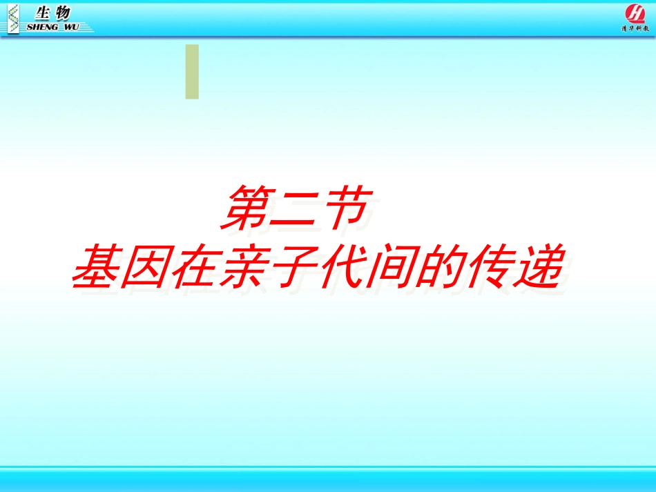 基因在亲子代间的传递静_第2页