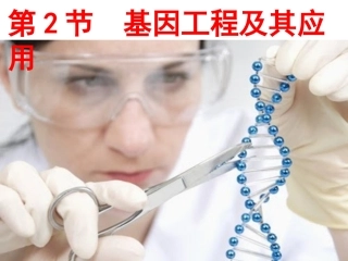 基因工程及其应用-课件