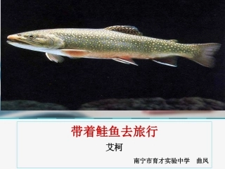 育才实验中学《带着鲑鱼去旅行》课件