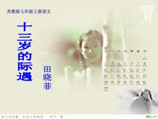 十三岁的际遇1