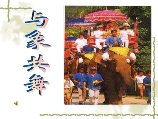 《与象共舞》 (2)