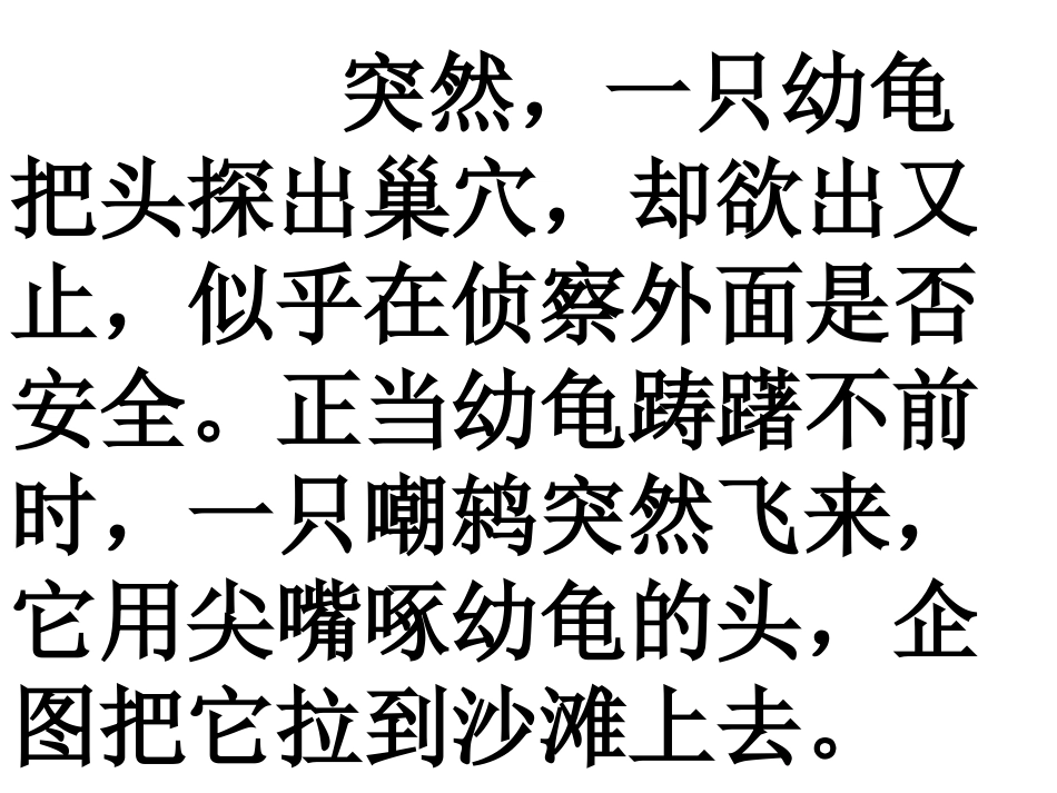 自然之道 (2)_第3页