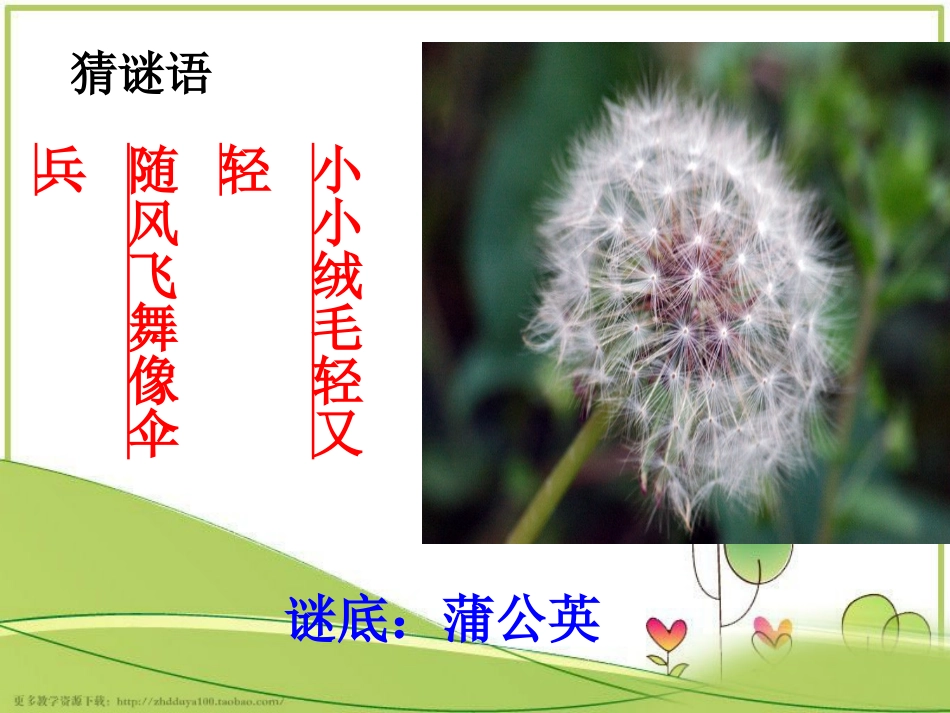 鄂教版一年级下册《金色的草地》教学课件_第2页