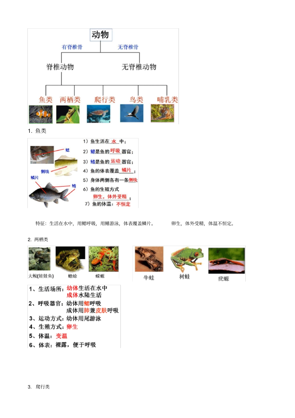 浙教版七年级上4常见的动物新_第3页