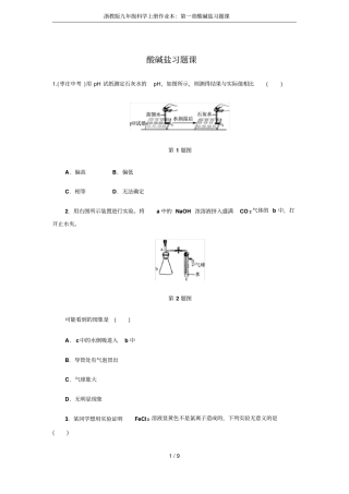 浙教版九年级科学上册作业本：酸碱盐习题课