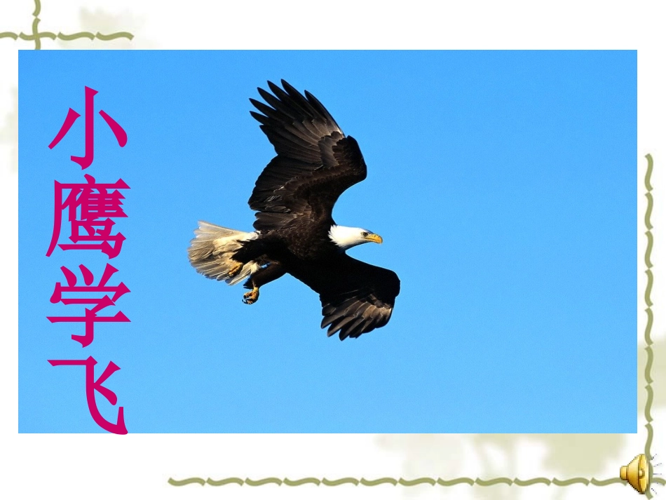 小鹰学飞 (2)_第1页