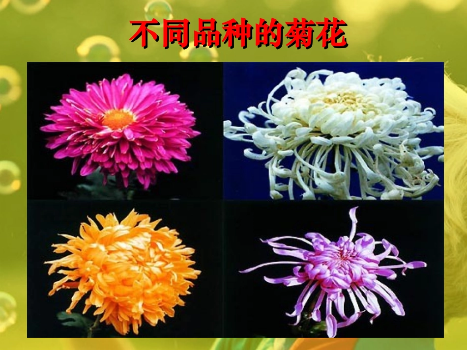 生物的变异 (2)_第2页