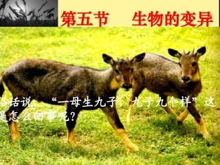生物的变异 (2)