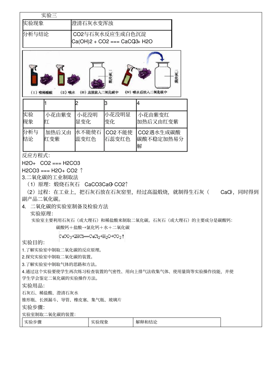 浙教版科学八下二氧化碳的性质及制取试验的探究_第2页