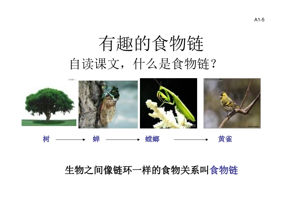 有趣的食物链_第1页