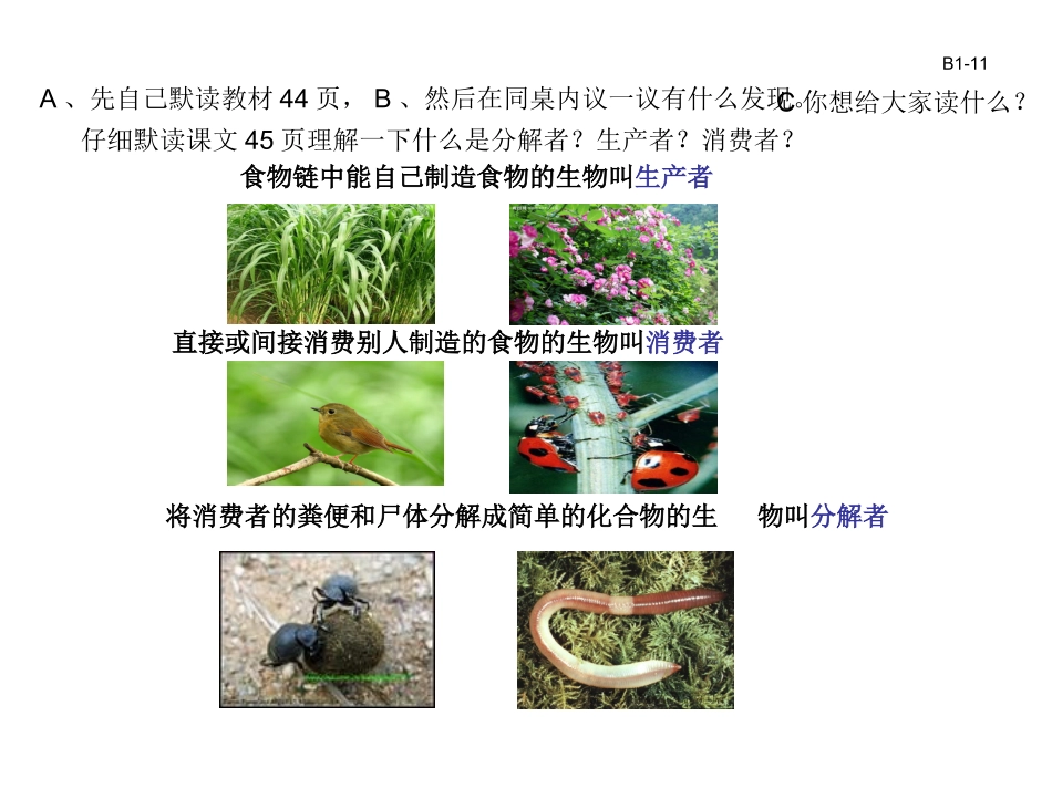 有趣的食物链_第2页