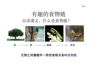 有趣的食物链