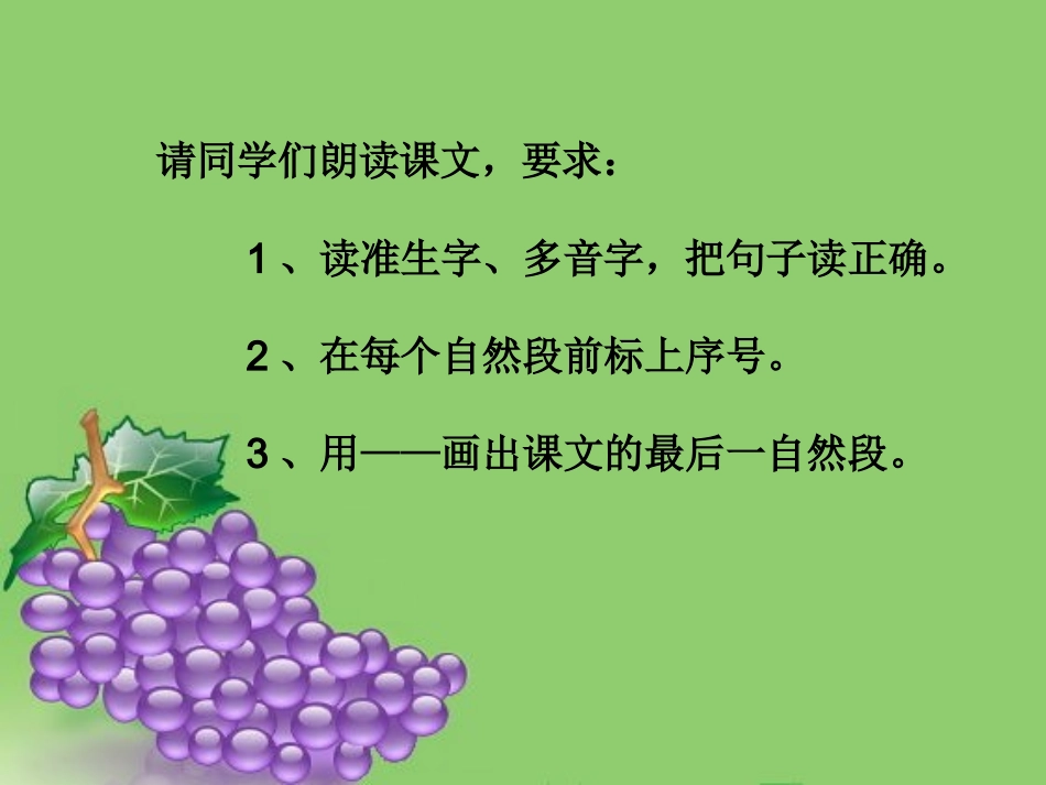 葡萄沟课件课件_第3页