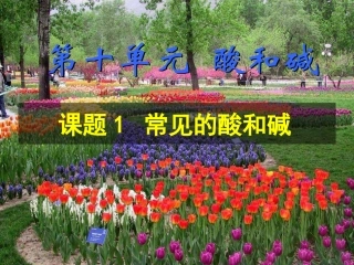 常见的酸和碱上课用