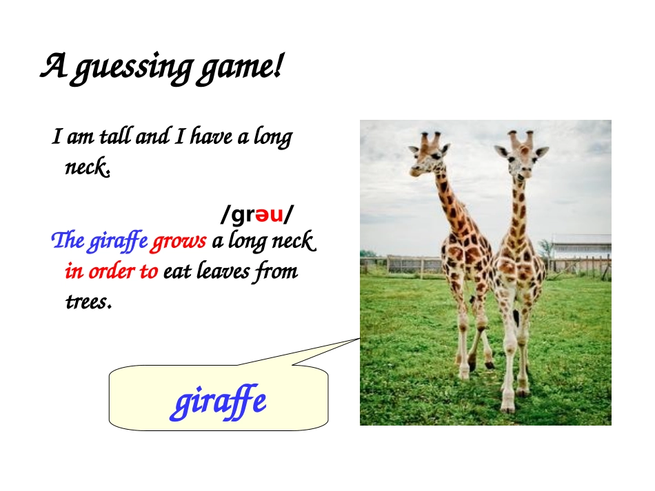 外研八上Module6Unit1_第2页