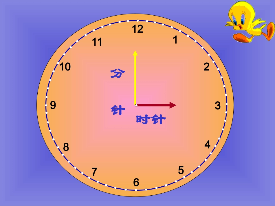 《认识钟表》课件1_第3页