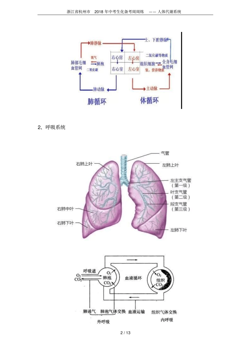 浙江杭州2018年中考生化备考周周练——人体代谢系统_第2页