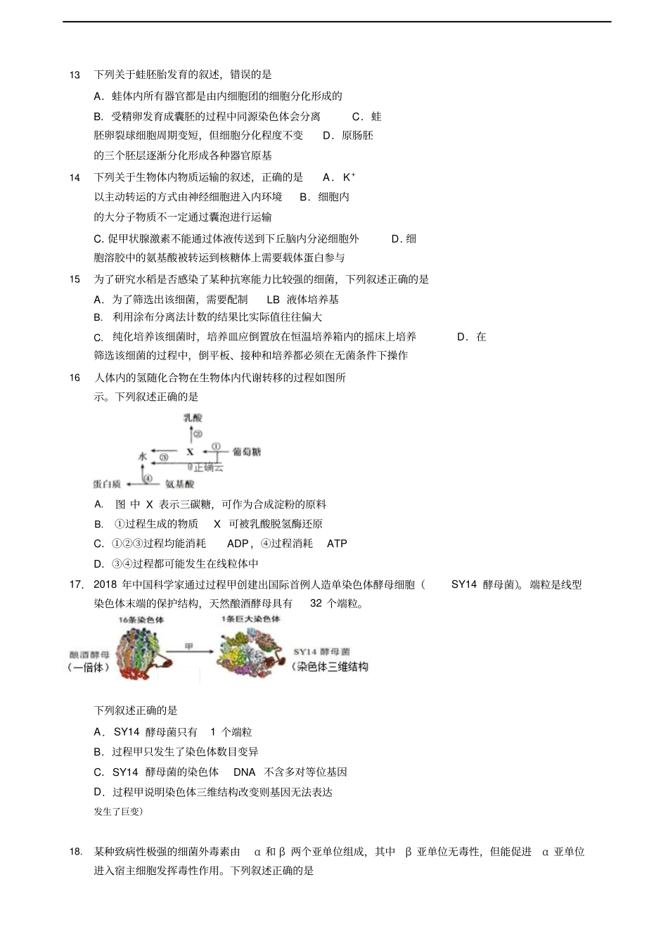 浙江杭州高三上学期高考适应性考试生物试卷含答案_第3页