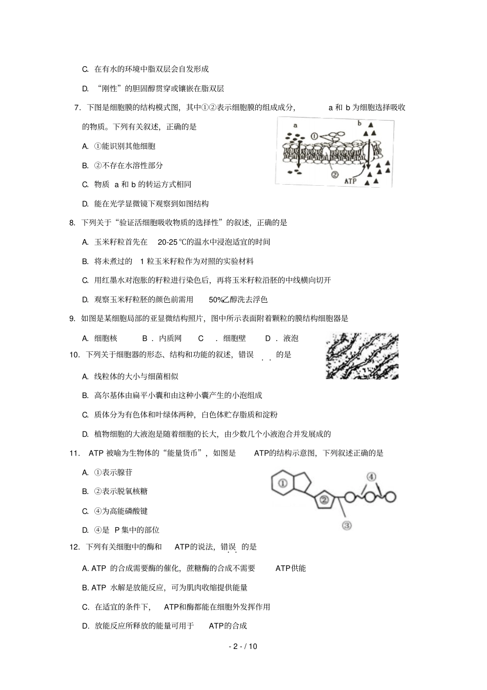 浙江桐乡凤鸣高级中学2017_2018学年高一生物下学期期中试题2018071801167_第2页