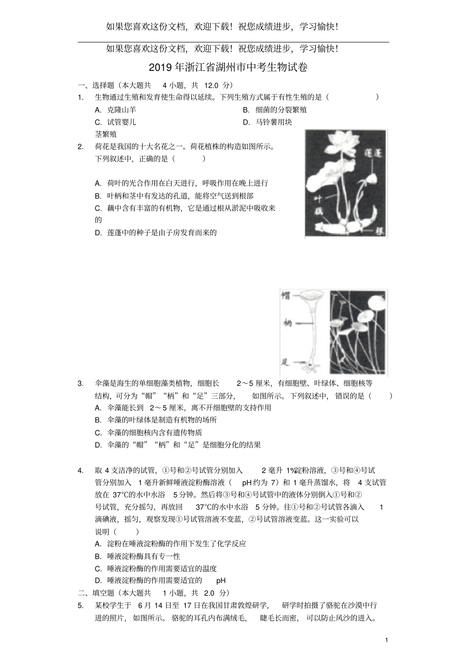 浙江湖州2019年中考生物真题试题含解析_第1页