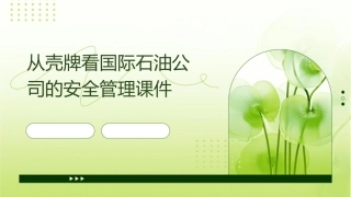 从壳牌看国际石油公司的安全管理课件1