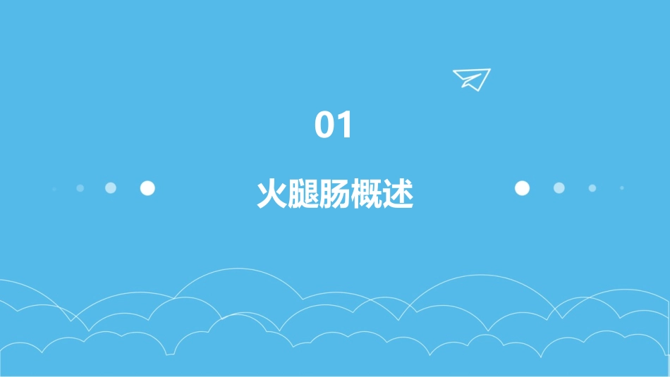 火腿肠工艺介绍 课件_第3页