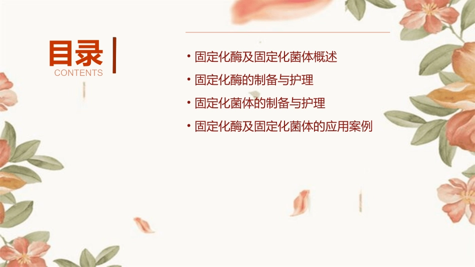 4固定化酶及固定化菌体护理课件_第2页