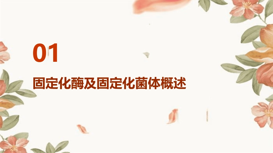 4固定化酶及固定化菌体护理课件_第3页