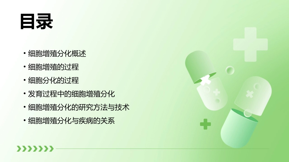 发育过程中的细胞增殖分化课件_第2页