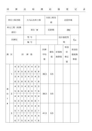 混凝土回弹仪检测记录表格