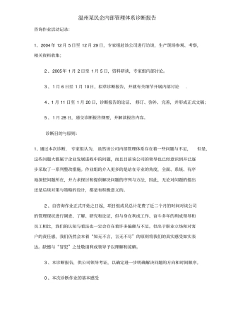 温州某民企内部管理体系诊断报告