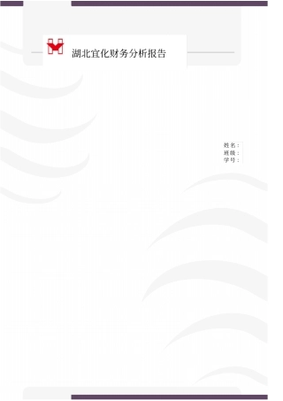 湖北宜化财务分析报告