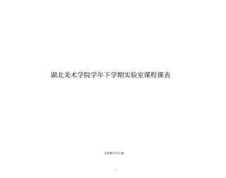 湖北美术学院学年下学期试验室课程课表