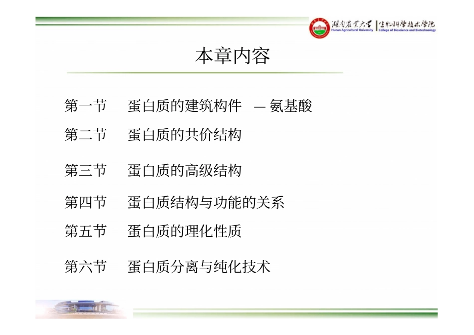 湖南农业大学生物化学-0蛋白质化学-0氨基酸_第2页