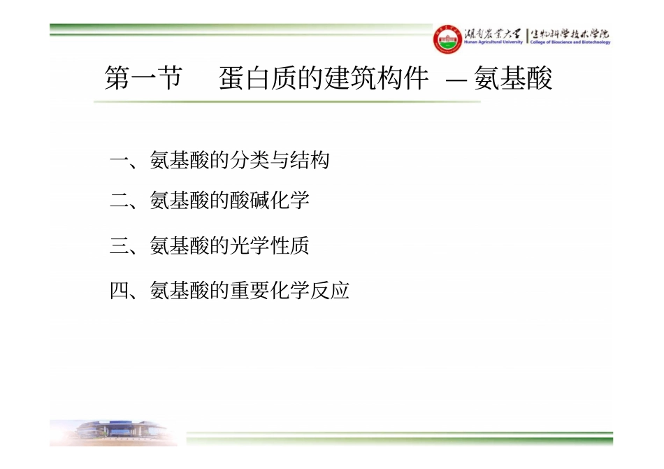 湖南农业大学生物化学-0蛋白质化学-0氨基酸_第3页